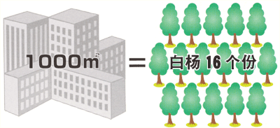 白杨16个的大气净化